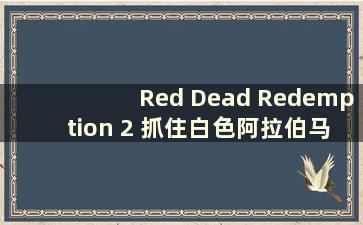 Red Dead Redemption 2 抓住白色阿拉伯马（Red Dead Redemption 2 驯服白色阿拉伯马）